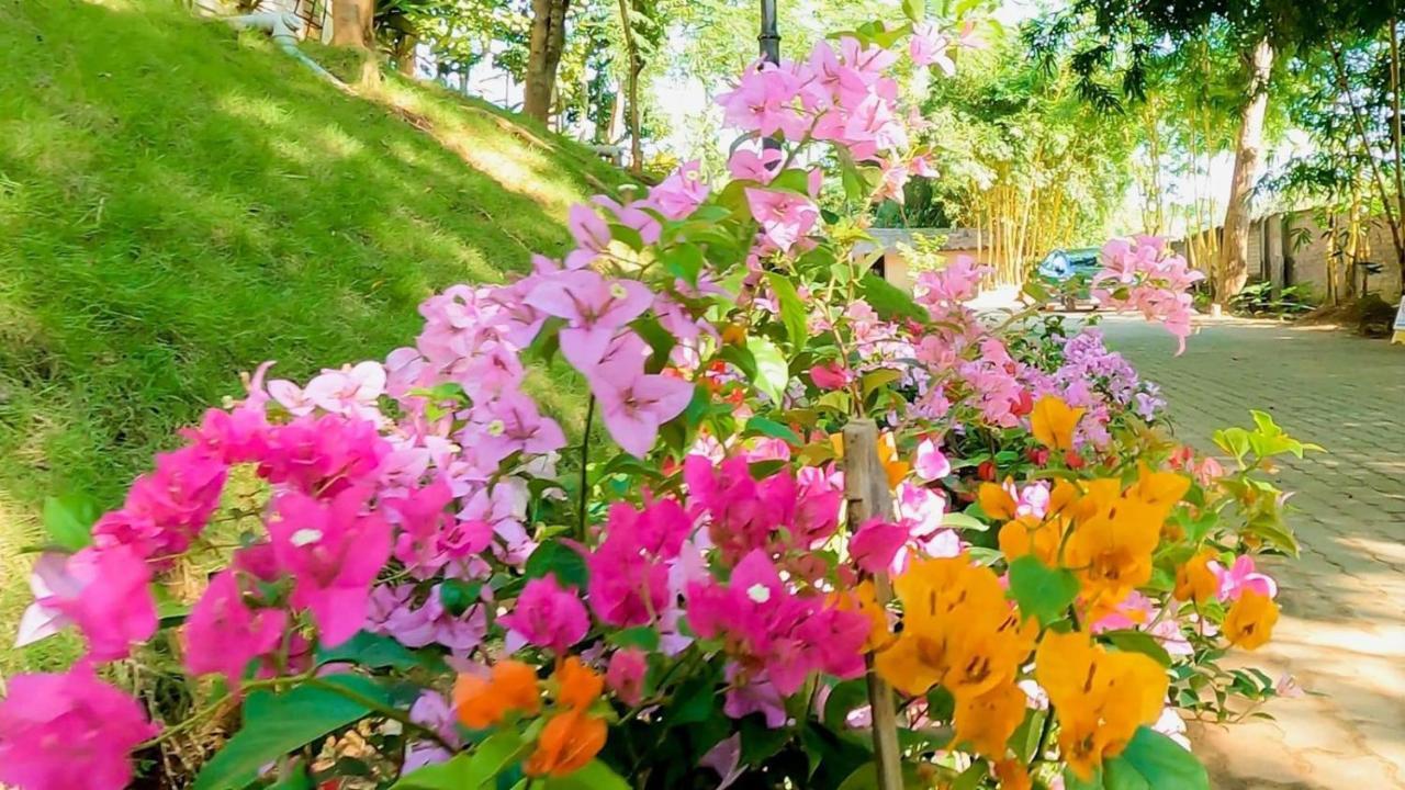 Bougainvillea Retreat & Spa Kaharpara エクステリア 写真