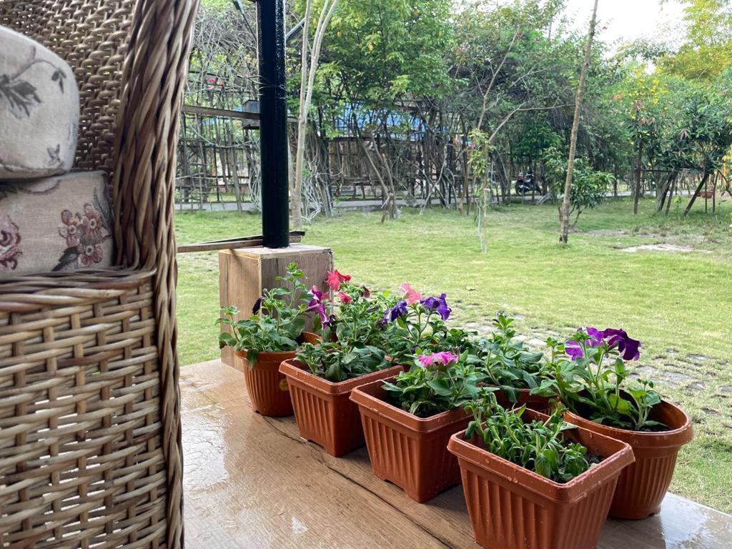 Bougainvillea Retreat & Spa Kaharpara エクステリア 写真