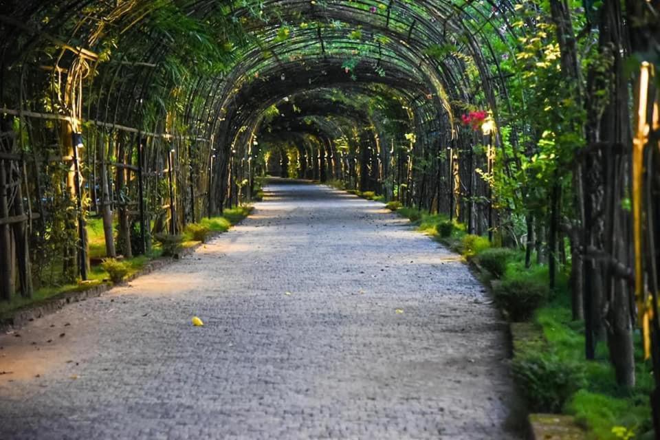 Bougainvillea Retreat & Spa Kaharpara エクステリア 写真