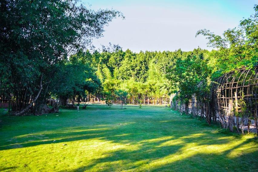 Bougainvillea Retreat & Spa Kaharpara エクステリア 写真